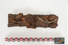 Foto von Eisenschaftlappenbeil (NHMW-PRAE-024556)